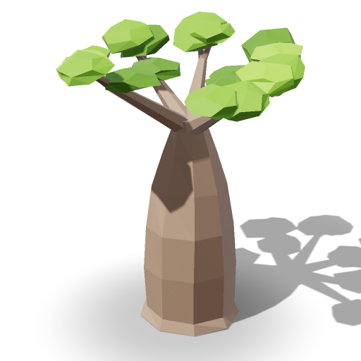 Baobab Tree