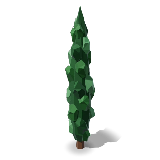 Cypress Tree