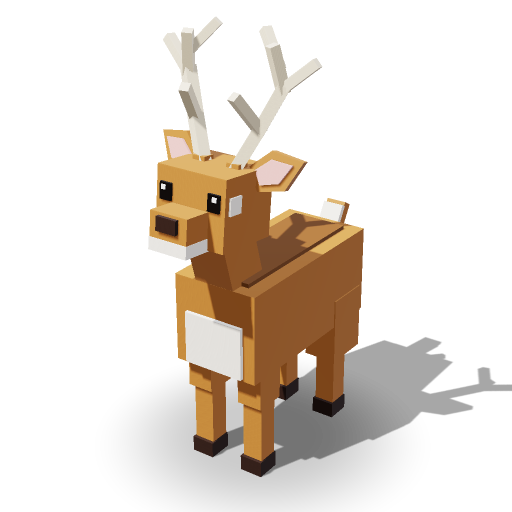Deer