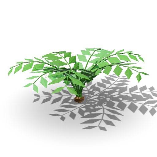Fern