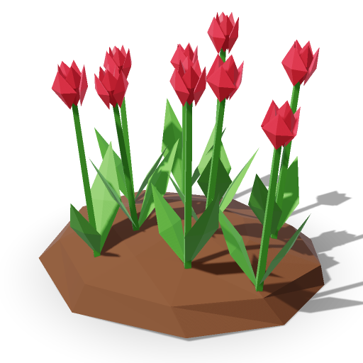 Tulip Patch