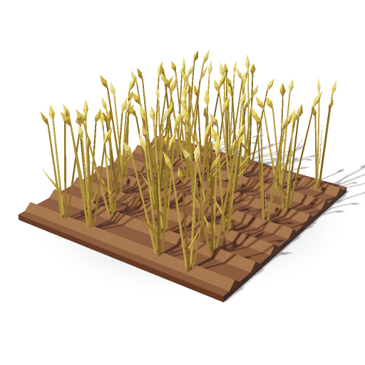 Wheat Patch